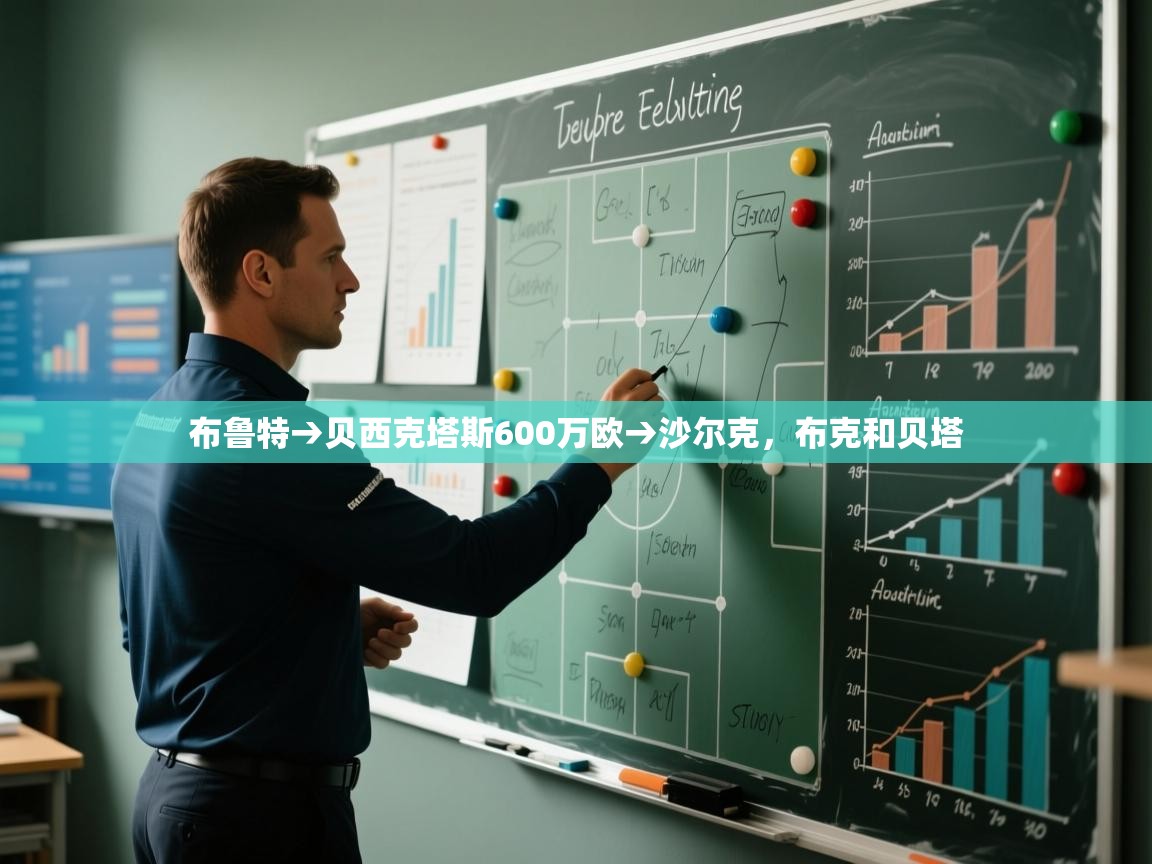 开云体育会员VIP开通-布鲁特→贝西克塔斯600万欧→沙尔克，布克和贝塔  第3张