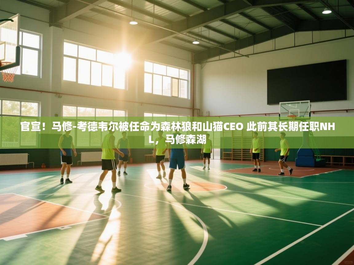 开云体育入口手机版-官宣！马修-考德韦尔被任命为森林狼和山猫CEO 此前其长期任职NHL，马修森湖