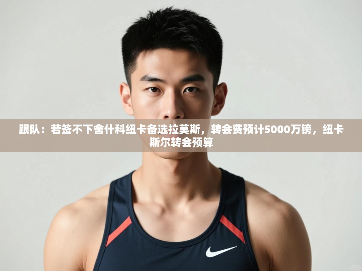 开云体育入口网址-跟队：若签不下舍什科纽卡备选拉莫斯，转会费预计5000万镑，纽卡斯尔转会预算  第1张