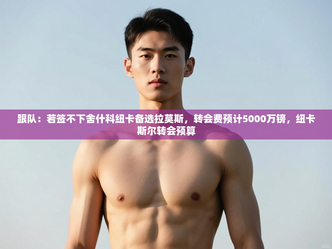 开云体育入口网址-跟队：若签不下舍什科纽卡备选拉莫斯，转会费预计5000万镑，纽卡斯尔转会预算  第4张