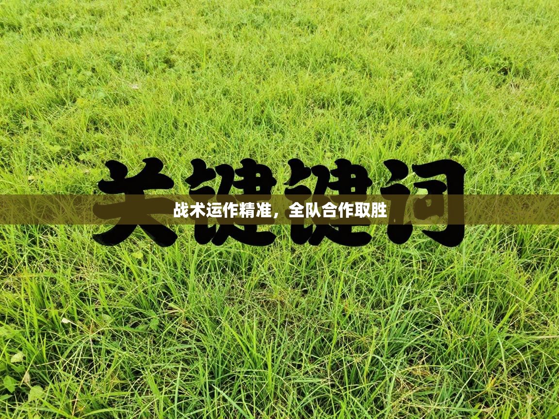 开云体育忘记密码找回-战术运作精准，全队合作取胜  第3张