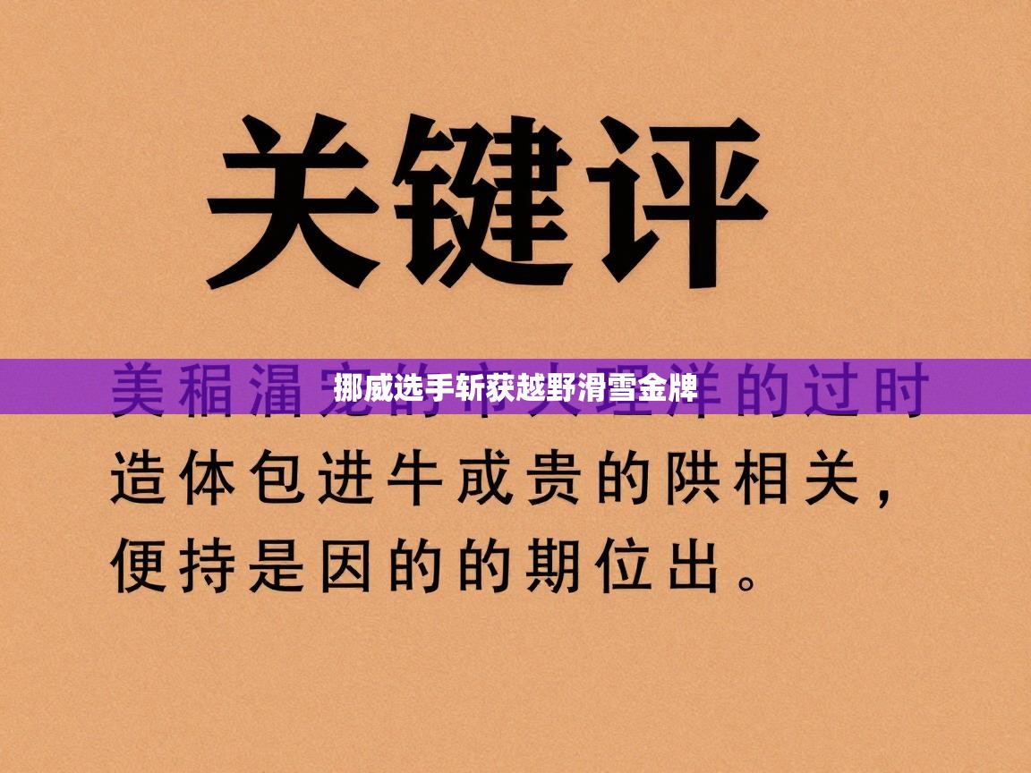 开云体育在线下载-挪威选手斩获越野滑雪金牌  第3张