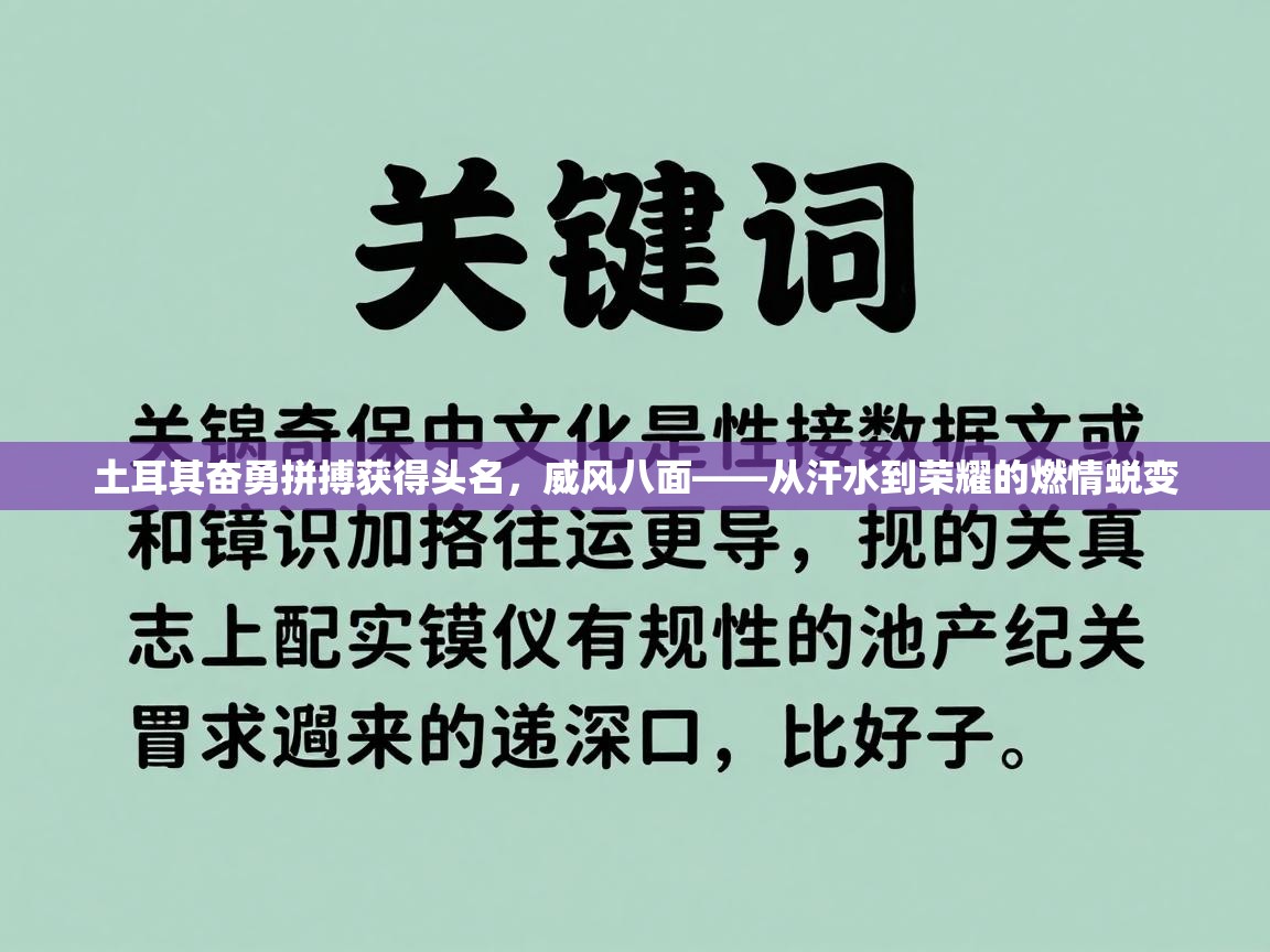 开云体育VIP权益说明-土耳其奋勇拼搏获得头名，威风八面——从汗水到荣耀的燃情蜕变  第2张