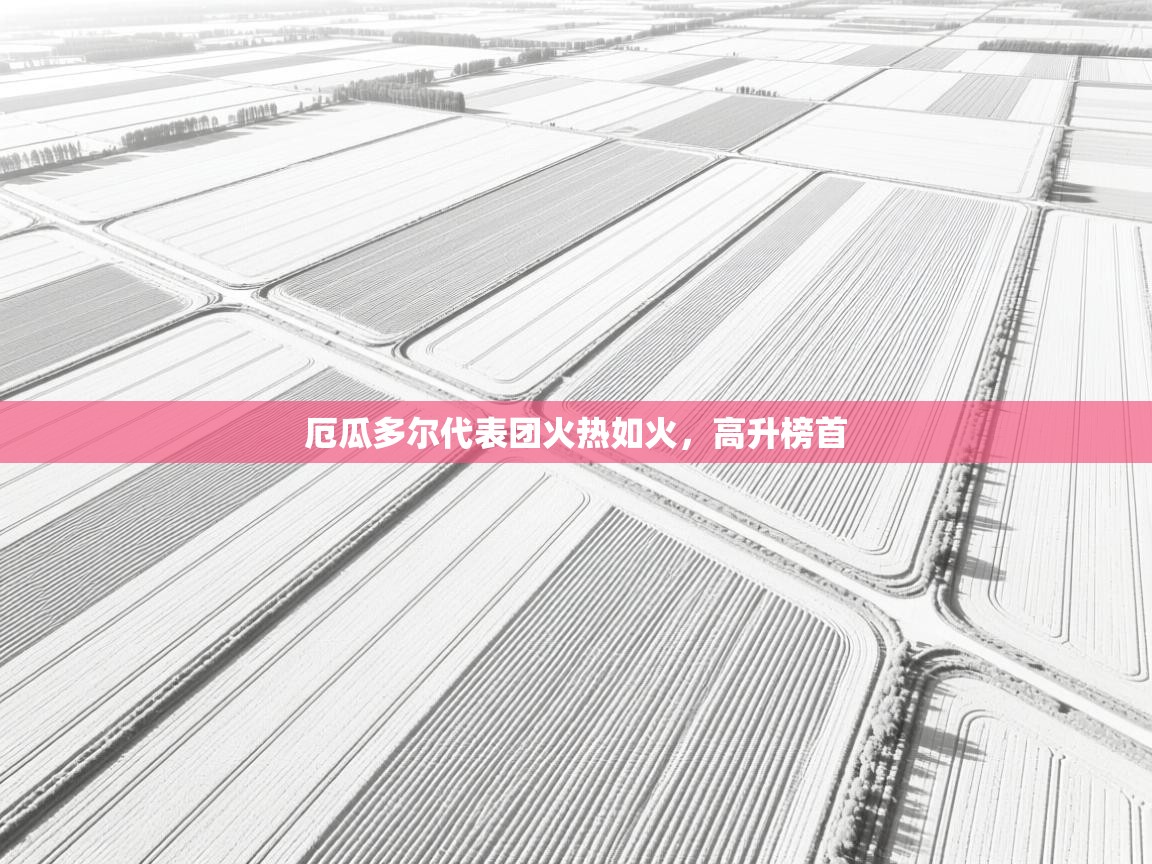 开云体育在线登录-厄瓜多尔代表团火热如火，高升榜首  第2张