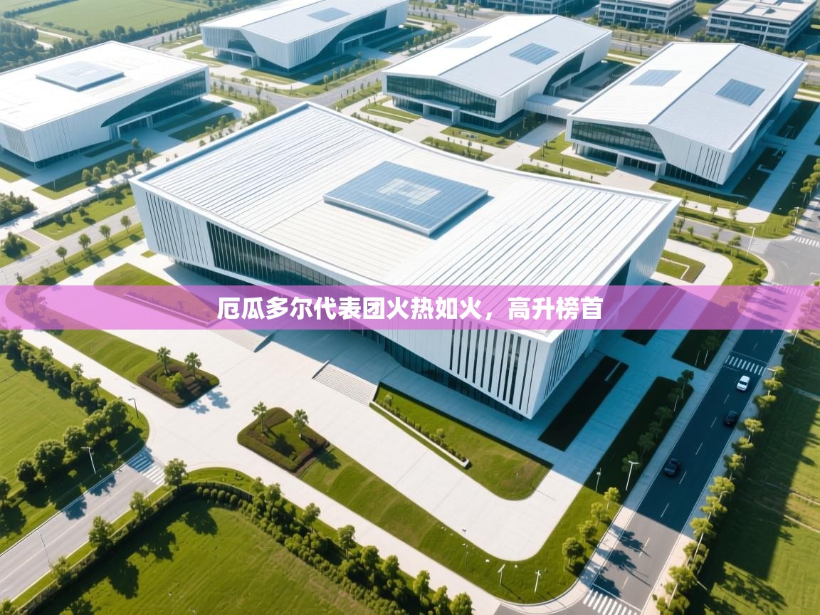 开云体育在线登录-厄瓜多尔代表团火热如火，高升榜首  第3张