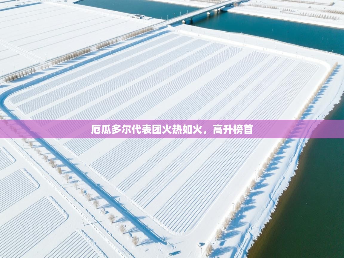 开云体育在线登录-厄瓜多尔代表团火热如火，高升榜首  第4张